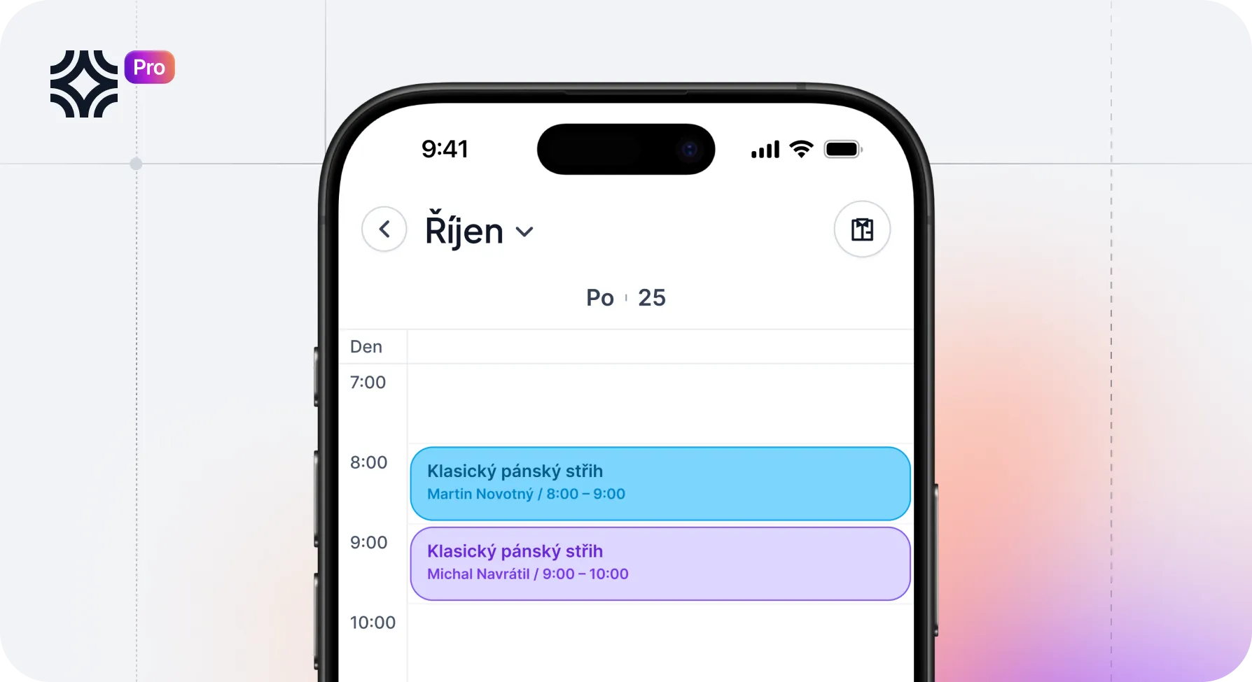Salona Pro screenshot